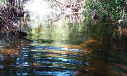 Chácara para Venda em Cocalzinho de Goiás, Edilândia, 5 dormitórios, 2 suítes, 3 banheiros, 6 vagas