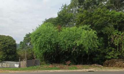 Terreno à venda na Avenida Vicente Monteggia, 1324, Cavalhada, Porto Alegre