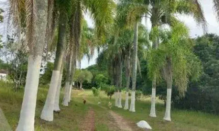 Chácara / sítio com 1 quarto à venda na Estrada Costa Gama, 1480, Belém Velho, Porto Alegre