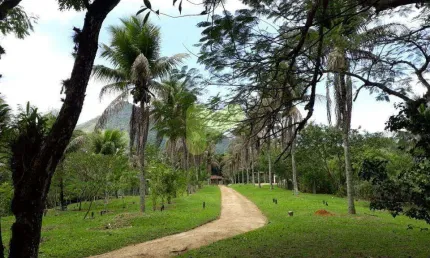 Chácara / sítio com 2 quartos à venda na Área Rural, Área Rural de Macaé, Macaé