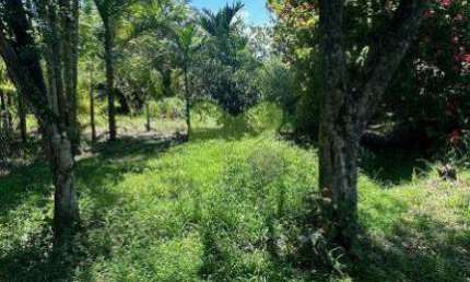 Chácara à Venda em Silva Jardim/RJ - Bairro Fazenda Brasil - 7.200 m²