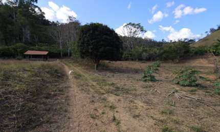 Terreno a venda em Ipanema M.G região de Laranjeiras