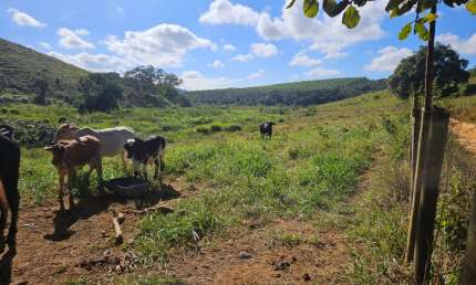 Terreno à venda na Zona Rural, Periquito 