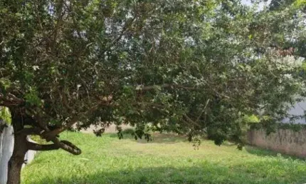 Terreno em condomínio fechado à venda no Loteamento Caminhos de San Conrado (Sousas), Campinas  por R$ 630.000