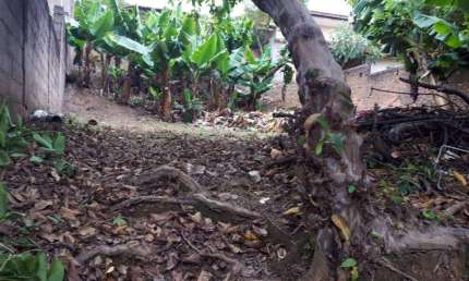 Terreno à venda no Jardim Martinelli (Sousas), Campinas  por R$ 320.000