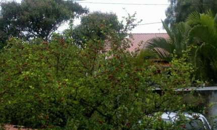 Casa com 3 quartos à venda no Parque das Colinas, Valinhos , 220 m2 por R$ 700.000