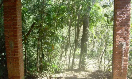 Chácara / sítio com 3 quartos à venda no Sousas, Campinas , 15800 m2 por R$ 1.500.000
