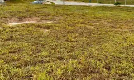 Terreno em condomínio fechado à venda na Rua dos Azulões, Condomínio Residencial Alphaville, São José dos Campos