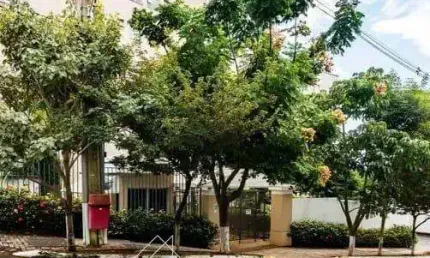 Apartamento com 2 quartos à venda na Rua Luiz Dionísio de Souza, --, Jardim Myrian Moreira da Costa, Campinas, 49 m2 por R$ 365.000