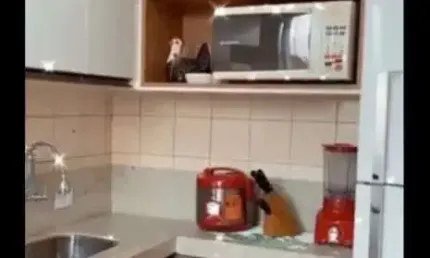 Apartamento com 2 quartos à venda na a, jardim ipiranga, americana, 59 m2 por r$ 190.000