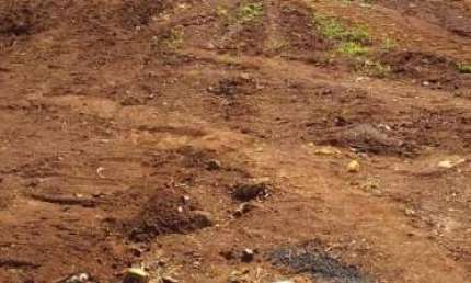 Terreno à venda na Avenida Joaquim Sônego, Campos Ville, Araraquara