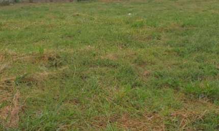 Terreno à venda, 300 m² por R$ 166.000,00 - Parque Laranjeiras - Araraquara/SP