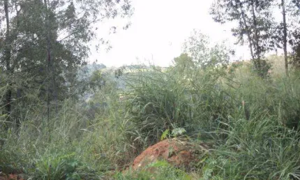 Terreno à venda, 20000 m² por r$ 1.425.000,00 - bairro cachoeira - vinhedo/sp
