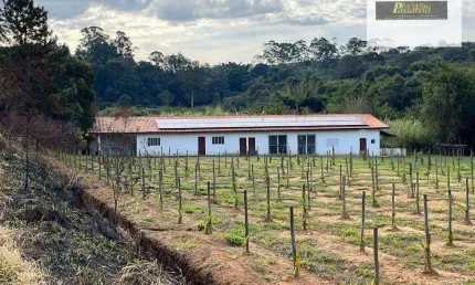 Chácara com 30 dormitórios à venda, 46434 m² por R$ 12.000.000,00 - Capuava - Valinhos/SP