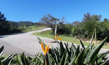 Terreno à venda na Rua Rodrigo Rampinelli Jeremias, Itacorubi, Florianópolis