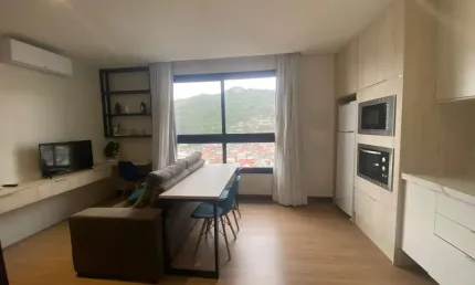Apartamento com 1 quarto para alugar na Rua João Motta Espezim, Saco dos Limões, Florianópolis
