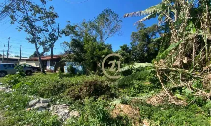 Terreno à venda, 490 m² por r$ 380.000 - jardim das gaivotas - caraguatatuba/sp