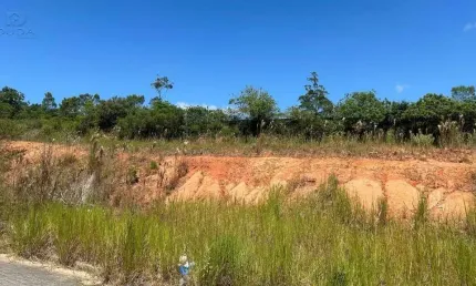 Terreno comercial à venda na Rua Antônio Jovita Duarte, Forquilhas, São José