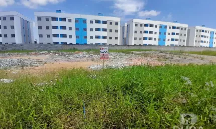 Terreno comercial para alugar na Rua João Carlos Espíndola, Nova Palhoça, Palhoça
