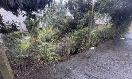 Terreno à venda na Rua Fermino Minghelli, 372, Panazzolo, Caxias do Sul