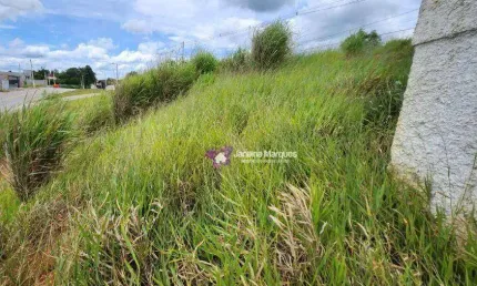 Terreno à venda, 189 m² por R$ 135.749,00 - Cruz das Almas - Araçariguama/SP