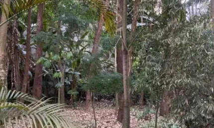 Apartamento residencial à venda, fazenda morumbi, são paulo - ap2217.