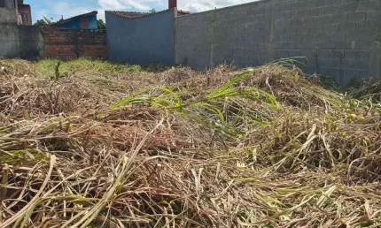 Terreno à venda, 250 m² por r$ 149.000,00 - jardim itaóca - mongaguá/sp