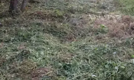 Terreno à venda em Ubatumirim, Ubatuba  por R$ 450.000