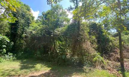 Terreno em condomínio fechado à venda na Praia do Itamambuca, Ubatuba  por R$ 1.272.000