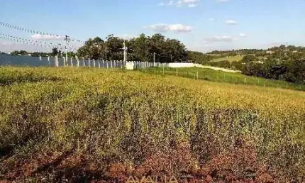 Lote em condomínio à venda, Jardim Quintas da Terracota - Indaiatuba/SP