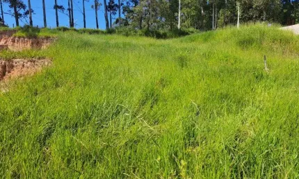 Terreno à venda no Meireles, Araçariguama 