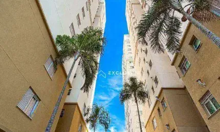 Apartamento com 3 dormitórios à venda, 77 m² por R$ 690.000,00 - Jardim Apolo - São José dos Campos/SP