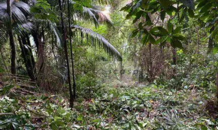 Terreno à venda, 300 m² por r$ 130.000,00 - estufa ii - ubatuba/sp