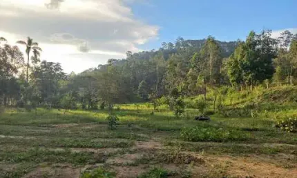 Área à venda, 181500 m² por R$ 3.200.000,00 - Bairro dos Forros - Monteiro Lobato/SP
