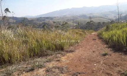 Área à venda, 30917 m² por R$ 300.000,00 - Bairro dos Forros - Monteiro Lobato/SP