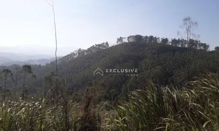 Área à venda, 121000 m² por r$ 1.200.000,00 - bairro forros  - monteiro lobato/sp