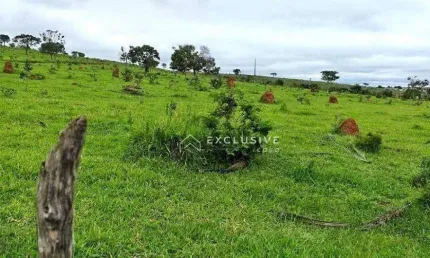 Fazenda com 3 dormitórios à venda, 638000 m² por R$ 3.000.000 - Pinheirinho - Taubaté/SP