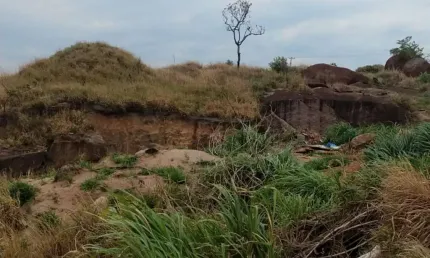 Terreno à venda, 20000 m² por R$ 1.800.000 - Pedregulho - Salto/SP