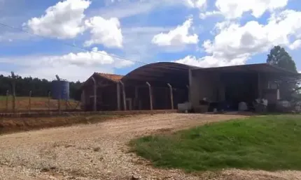 Fazenda com 1 dormitório à venda, 2710400 m² por R$ 32.000.000 - Matão - Buri/São Paulo