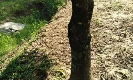 Terreno à venda, 6225 m² por R$ 622.500,00 - Convívio Reconquista - Salto/SP