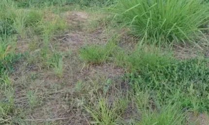 Terreno à venda, 314 m² por R$ 400.000,00 - Condomínio Jardim Siena - Indaiatuba/SP