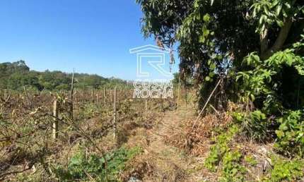 Área à venda, 13701 m² por R$ 2.000.000,00 - Olaria - Salto/SP