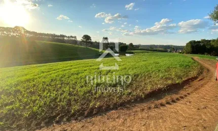 Terreno à venda na Rua Júlio César Setenareski, 100, Colônia Mergulhão, São José dos Pinhais por R$ 4.800.000