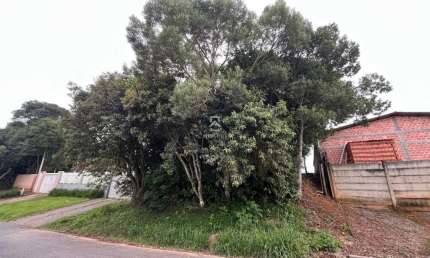Terreno à venda na Avenida Alzira Berton Pauletto, Del Rey, São José dos Pinhais por R$ 200.000