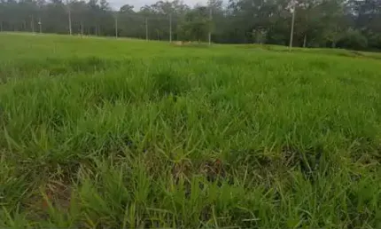 Terreno à venda em Thermas de Santa Barbara, Águas de Santa Bárbara 