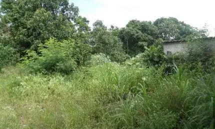 Terreno à venda no corrupira, jundiaí  por r$ 3.000.000