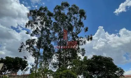 Terreno à venda no Santa Rosa, Piracicaba 