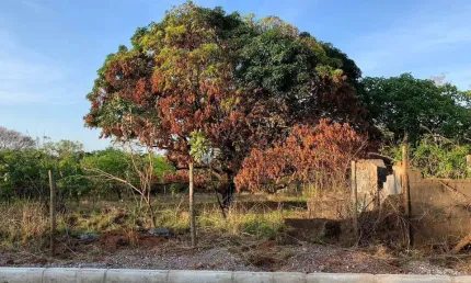 Terreno à venda, 1380 m² por R$ 300.000,00 - Recanto da Lagoa - Lagoa Santa/MG