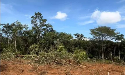 Terreno à venda, 428 m² por R$ 219.000 - Visão - Lagoa Santa/MG