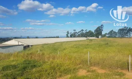 Sítio à venda, 60000 m² - Bairro dos Rosas - Amparo/SP